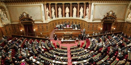  Le Sénat français supprime l’avantage fiscal sur l’huile de palme