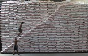  Sur fond d’excédent mondial, la Côte d’Ivoire et le Ghana importeront plus de riz, selon l’USDA