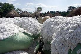  Un an après sa privatisaton, la CIDT double sa production de coton ivoirien