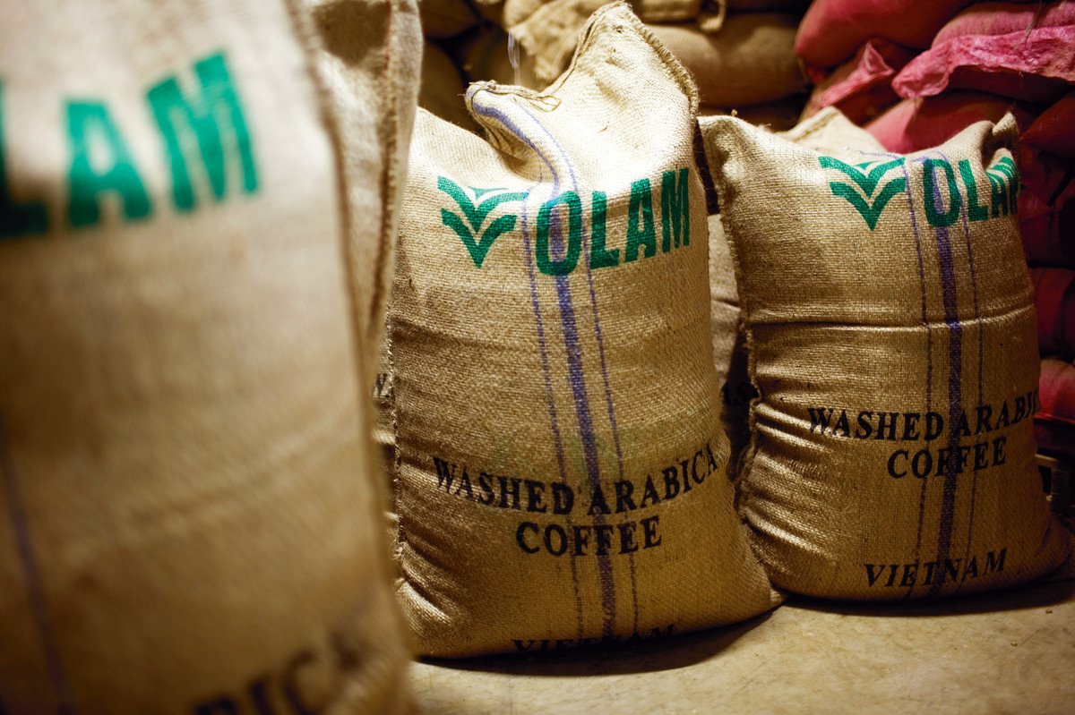  Cacao et noix contribuent à la hausse de 6,9% du bénéfice d’Olam au 1er trimestre