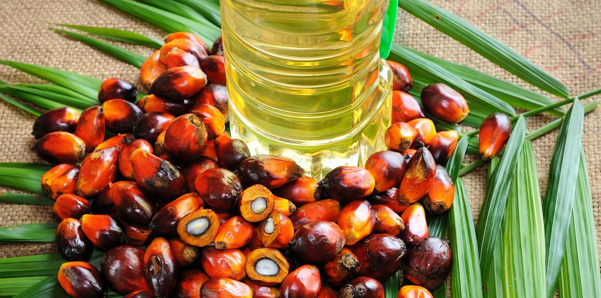  La Banque centrale du Nigeria investit $82 millions dans l’huile de palme