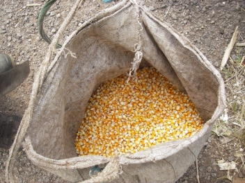  €8 millions de l’AFD pour le stockage de sécurité alimentaire en Afrique de l’Ouest