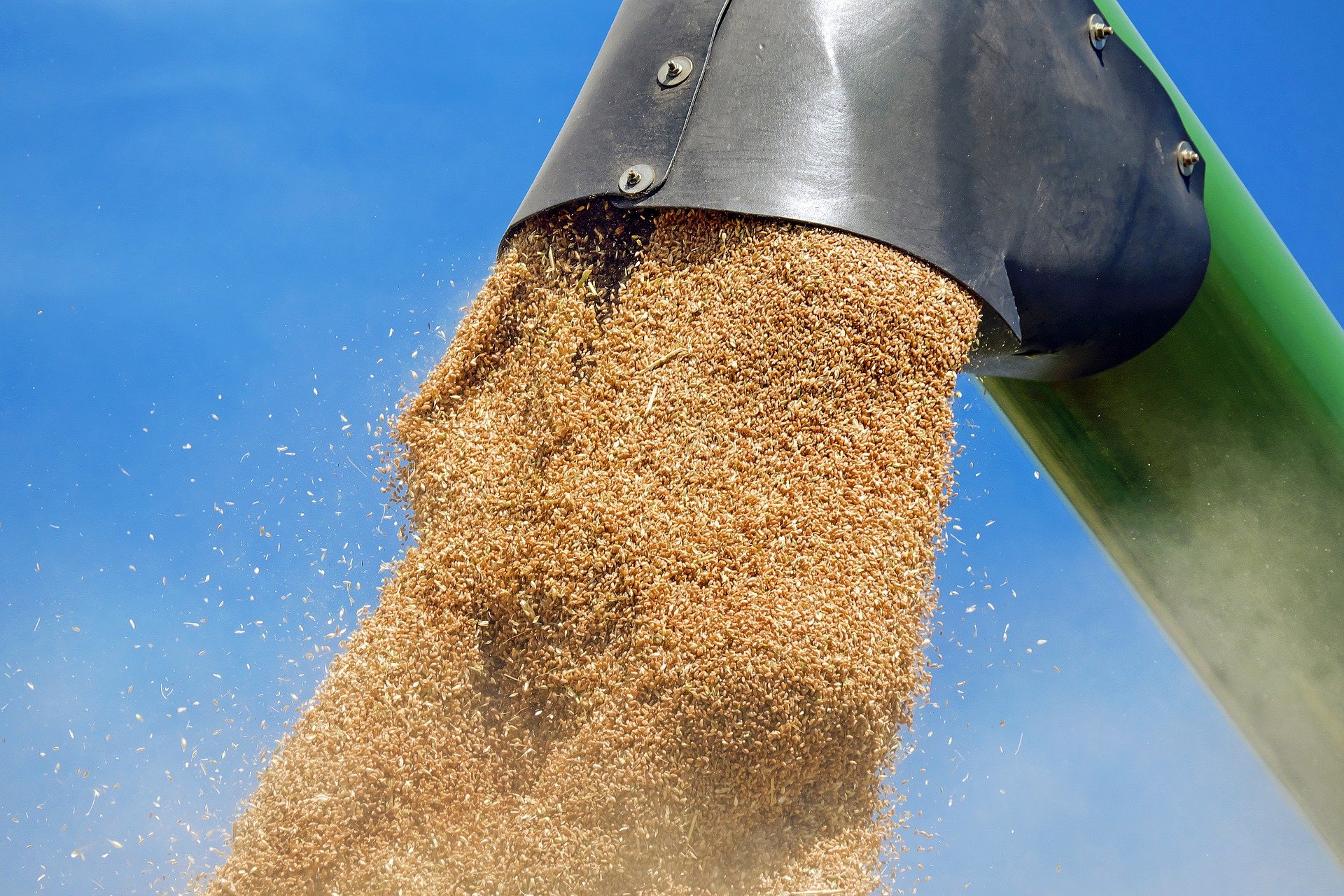  Vers une reprise des exportations de céréales de l’Ukraine